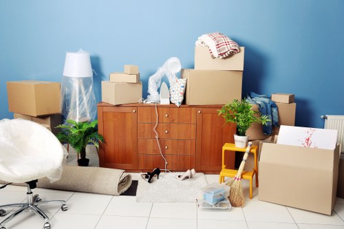 Local removals team planning a move in Pimlico street surroundings