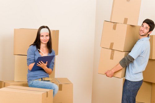 Professional movers handling boxes and furniture for a Pimlico flat relocation