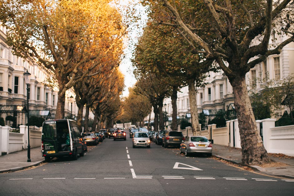 A residential street scene on Grosvenor Road in Pimlico during late afternoon, featuring a row of ornate Victorian-style white terraced houses with decorative facades, large windows, and gated front gardens. Tall, mature trees with thick trunks and leafy canopies line both sides of the street, casting dappled shadows on the pavement and road. Parked cars, including sedans and hatchbacks, are situated on both sides of the street, with some parked close to the kerb and others partially on the pavement. In the middle of the road, a black van belly is positioned, possibly involved in a house relocation process, with the rear doors open for loading or unloading household furniture or boxes. Straps, blankets, and packing materials are visible inside the van, indicating a careful loading procedure. The scene is well lit by natural daylight, highlighting the quiet, orderly environment typical of a London residential area. Pimlico Man and Van's presence is implied through the context of house removals, alongside the visual cues of furniture being prepared for transport.